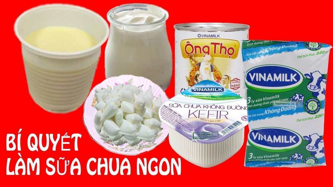 Nguyên liệu chính được dùng làm sữa chua tại nhà