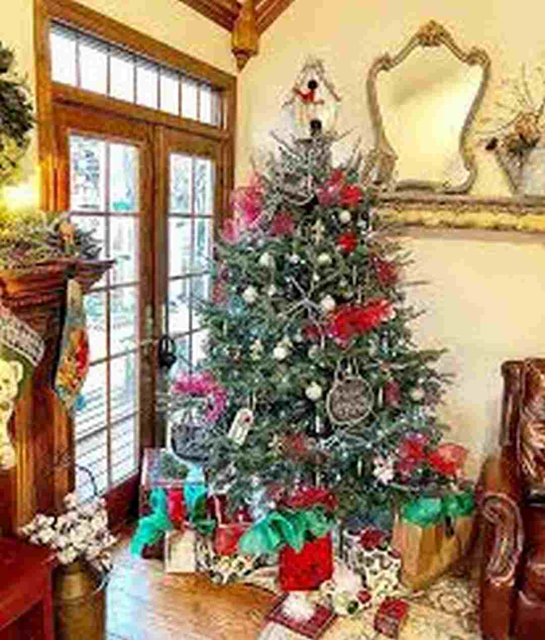 Cách chọn cây thông Noel phù hợp với không gian của bạn